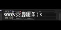 sorry英語(yǔ)翻譯（sorry翻譯中文）