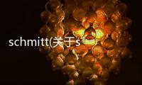 schmitt(關于schmitt簡述)