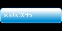 sciatic(關于sciatic簡述)