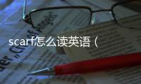 scarf怎么讀英語（scarf怎么讀）