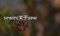 sewin(關于sewin簡述)