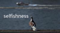 selfishness(關(guān)于selfishness簡述)