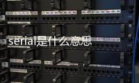 serial是什么意思（model是什么意思）