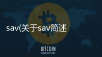 sav(關于sav簡述)