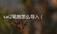 sai2筆刷怎么導入（sai2筆刷怎么安裝）