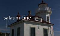 salaum Lines在中國訂購兩艘雙燃料液化天然氣船