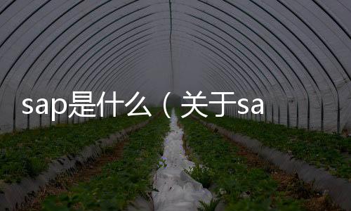 sap是什么（關(guān)于sap是什么的基本情況說明介紹）