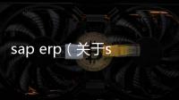 sap erp（關于sap erp的基本情況說明介紹）