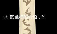 sb 的全稱的介紹，SB的全稱是什么