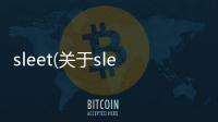 sleet(關于sleet簡述)