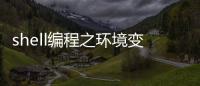 shell編程之環境變量配置文件(關于shell編程之環境變量配置文件簡述)
