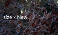 size x New Balance聯名限定配色990v5鞋款，上世紀商店為靈感~