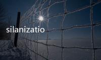 silanization(關于silanization簡述)