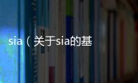 sia（關于sia的基本情況說明介紹）