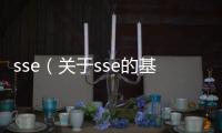 sse（關于sse的基本情況說明介紹）