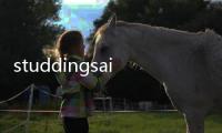 studdingsail(關于studdingsail簡述)