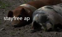 stayfree apk軟件介紹（stayfree apk）