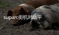 suparc街機對戰平臺（街霸對戰平臺）