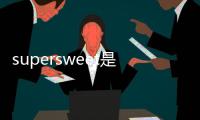 supersweet是什么意思中文（sweet是什么意思中文）