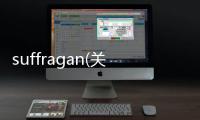 suffragan(關于suffragan簡述)