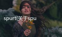 spurt(關(guān)于spurt簡(jiǎn)述)