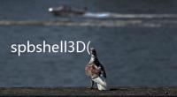 spbshell3D(關于spbshell3D簡述)