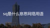 sq是什么意思網(wǎng)絡(luò)用語（sq是什么意思）