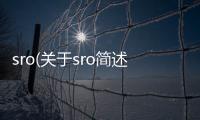 sro(關于sro簡述)