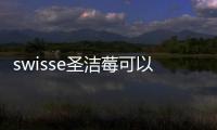swisse圣潔莓可以長期吃嗎 swisse圣潔莓會(huì)吃出子宮肌瘤嗎