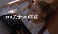 sxn(關于sxn簡述)