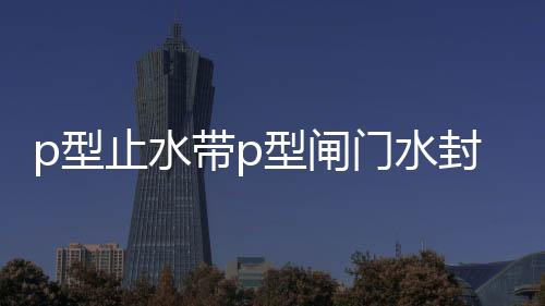 p型止水帶p型閘門水封規(guī)格齊全