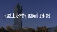 p型止水帶p型閘門水封規(guī)格齊全