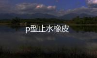 p型止水橡皮