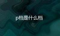 p檔是什么檔