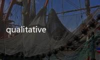 qualitatively(關(guān)于qualitatively簡述)