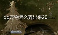 qq寵物怎么弄出來2019（qq寵物怎么弄出來2020）