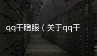 qq干瞪眼（關于qq干瞪眼的基本情況說明介紹）