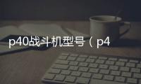 p40戰斗機型號（p40戰斗機）