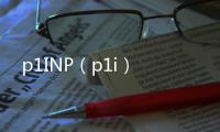 p1INP（p1i）