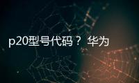 p20型號代碼？ 華為p20參數詳細參數