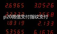 p20微信支付指紋支付怎么設(shè)置（華為p20微信怎么設(shè)置指紋支付）