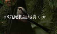 pR九尾狐貍寫真（pr九尾狐貍）