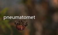 pneumatometer(關于pneumatometer簡述)