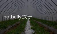 potbelly(關于potbelly簡述)