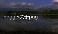pogge(關于pogge簡述)
