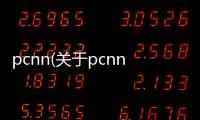 pcnn(關(guān)于pcnn簡(jiǎn)述)