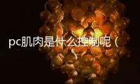 pc肌肉是什么控制呢（pc肌是性殺手）