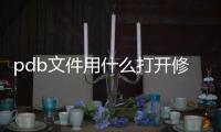 pdb文件用什么打開修改（pdb文件用什么打開）