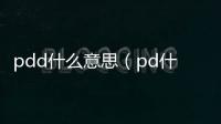 pdd什么意思（pd什么意思）