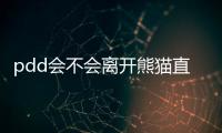 pdd會(huì)不會(huì)離開(kāi)熊貓直播 pdd是不是和王校長(zhǎng)鬧翻了